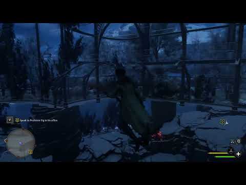 Flying out of plane in Hogwarts Legacy (Glitch)