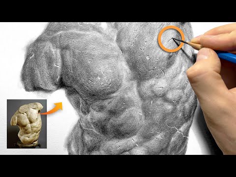 Enhance Your Drawing Skills with the Male Torso | Gaddi Torso Masterclass