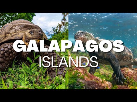 2023 Destinations - Galapagos Islands (Travel Guide)