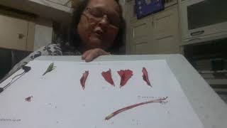 Recalling the previous knowledge.. Structure of a flower..Part 2