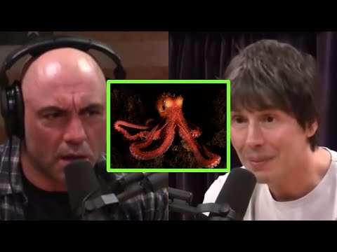 Brian Cox and Joe Rogan talks about amazing science facts for 8 minutes straight.