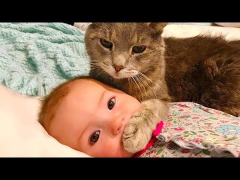 Baby and Cat Fun and Cute - Funny Baby Video