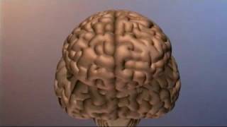 Artificial Intelligence: Thinking Big | KQED QUEST