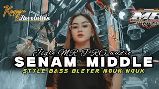 DJ SENAM MIDDLE V2 • JIGLE MR PRO AUDIO • STYLE BASS BLEYER NGUK NGUK FULL NROTOK