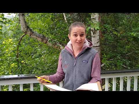 Outside Every Day with SOREEL: Observing Animals