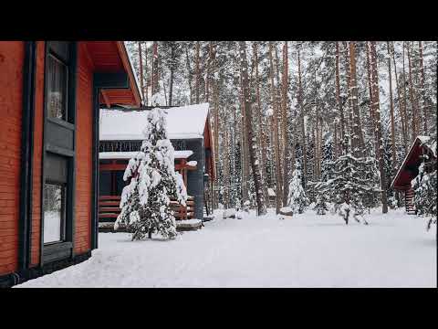 Warm New Year Piano | Sweet Piano background Music for Relaxation and Work !