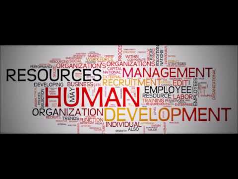 ERP Management Software