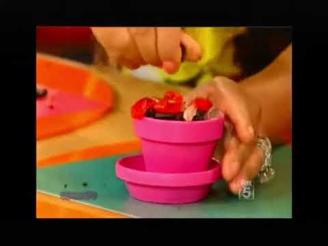 elmo says you go girl