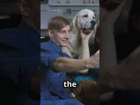Hero!!