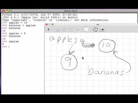 More about Assignment and References (Part 2)