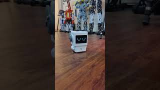 Tia Robot voice commands #realrobot #robot #tia #tiarobot