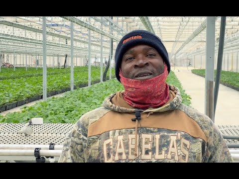 Farm Relationships in Norfolk County: Part 3