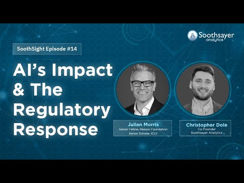 AI’s Impact & The Regulatory Response w/ Julian Morris | SoothSight #14 | Soothsayer Analytics