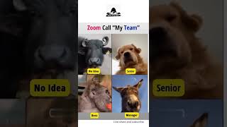 Zoom | programmers life #programmerlife #programmerslife #programmers #viralshort #memes #funny