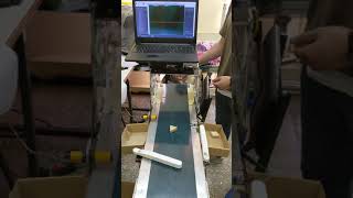 Automatic sorting of objects placed on a conveyor belt.