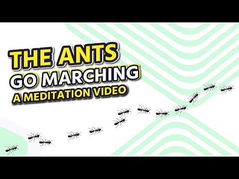 The Ants Go Marching - a Meditation Video