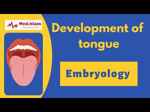 Development of tongue- A quick tour