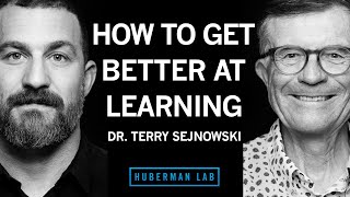 How to Improve at Learning Using Neuroscience & AI | Dr. Terry Sejnowski