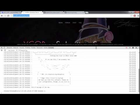 Vlog #9 IRC Websocket Connection