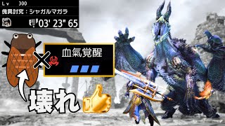 【克服シャガルLv.300】セミ(スラアク) ソロ 3'23/Risen Shagaru Magala Switch Axe【サンブレイク/モンハンライズ/Sunbreak】