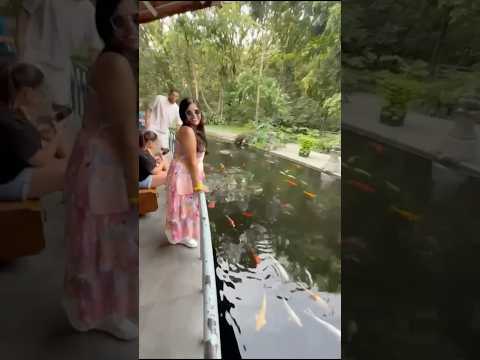 🐒#MonkeyForest #BaliVibes #BaliTravel #Ubud #UbudBali #NatureVibes  #SacredMonkeyForestSanctuary