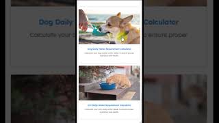 Other Tools #EfficiencyTools#DailyCalculators#PowerConsumption#TimeManagement#economixio