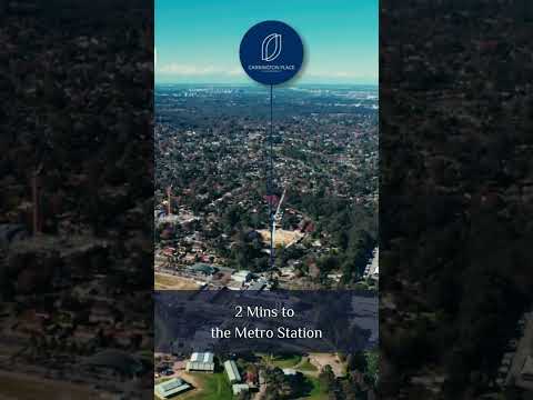 CP   VIDEO 1 Vertical