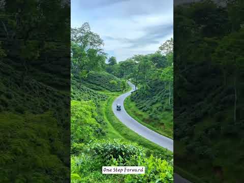 Sreemongol | Sylhet #sreemongal #sylhet #nature
