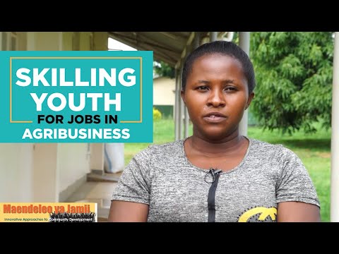 Skilling Youth - Agis