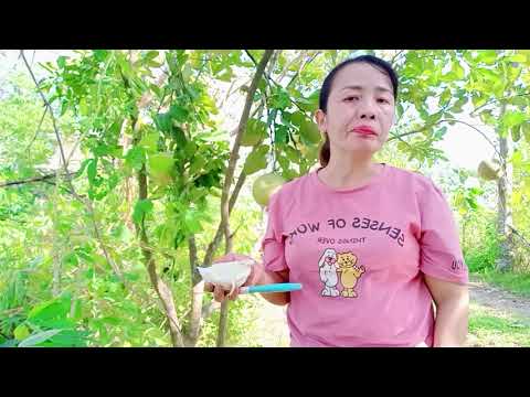 Preparing My Garden for a Fresh Season. Vlog 4