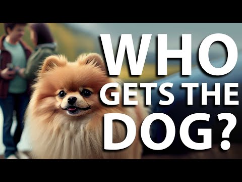 Can My Ex Take My Dog?