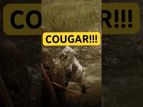 This Random Encounter Almost Got Me KILLED in RDR2