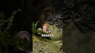 What Happens If You Fall Into a Snake Pit 🐍
