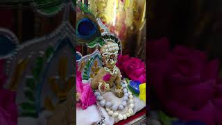Krishna shorts #Shri Radhe Krishna#ચંદન ના વાઘા#jayranchhod #🙏🌹