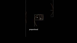 The Fibonacci Sequence #science #mathematics #beauty #architecture #nature #geometry #history #art