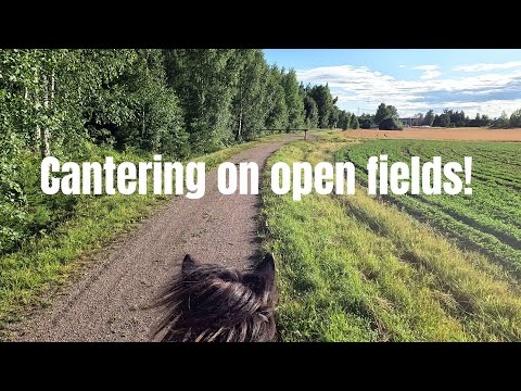 Cantering on open fields and almost flying off 😅 | GoPro Hero 10 | Icelandic Horse Adventures