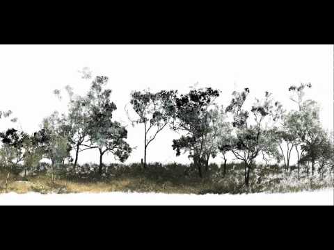 Terrestrial Laser Scanning data of Queensland Forests