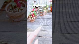 #screenrepair #tape #quickfixes #amazonfinds #useful #nobugs