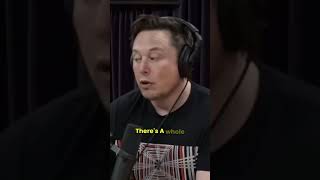 Revolutionizing Brain Injury Treatment with Neural Tech | JOE ROGAN and ELON MUSK