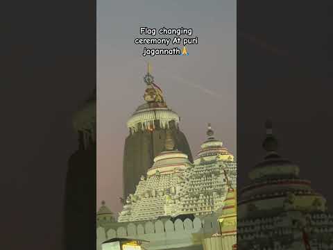 #shorts #youtubeshorts #puri #purijagannadh #jagannath