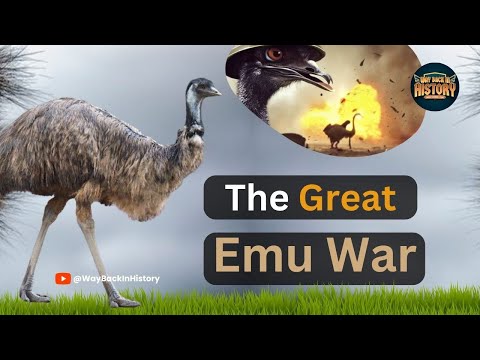 The Great Emu War