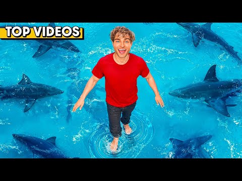 Pranks That Made Strangers FREAK OUT! | Topper Guild
