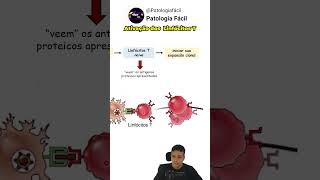 T Lymphocyte Activation #biomedicine #immunity #immunology