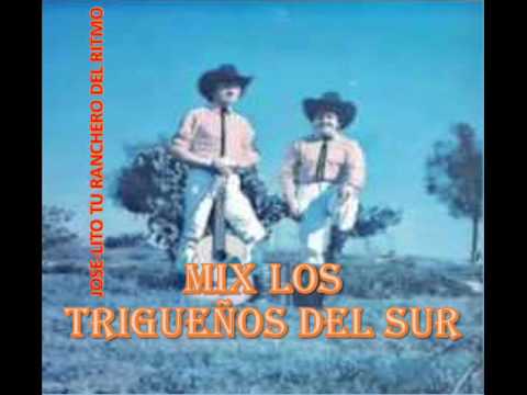 mix los trigueños del sur (corridos)