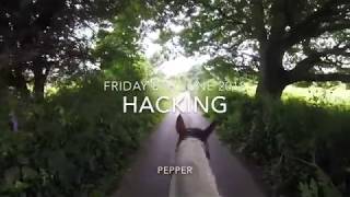 Hacking Out- 08.06.2018
