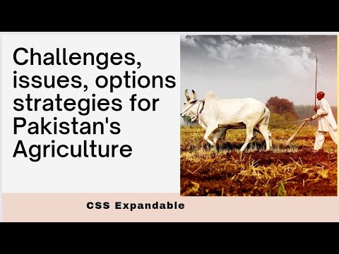 Challenges, issues, options and strategies for Pakistan's Agricultur #css
