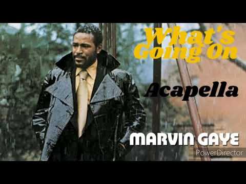 Marvin Gaye-What's Going On Acapella