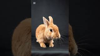 30 July 2025#onlinefun #love #cute #shorts