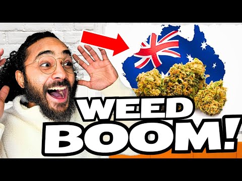 The Australian WEED BOOM That Is Happening RIGHT NOW! 🤯
