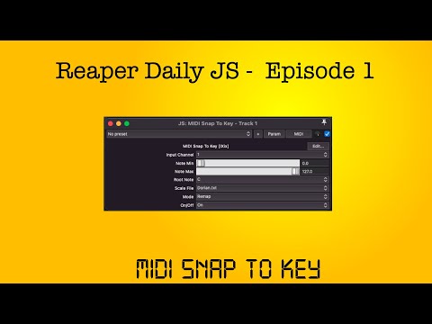 Reaper Daily JS : Ep 1 - MIDI Snap To Key
